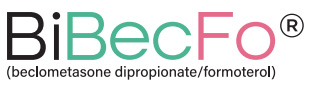 Bibecfo-logo